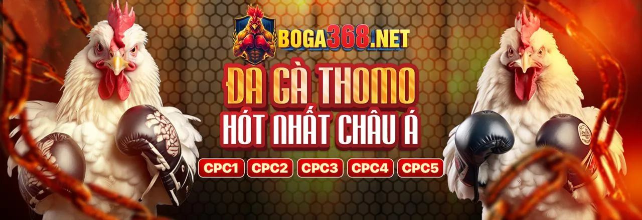 Tổng quan các chương trình khuyến mãi hấp dẫn tại abc888